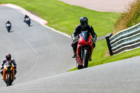 PJ-Motorsport-Photography-2020;anglesey;brands-hatch;cadwell-park;croft;donington-park;enduro-digital-images;event-digital-images;eventdigitalimages;mallory;no-limits;oulton-park;peter-wileman-photography;racing-digital-images;silverstone;snetterton;trackday-digital-images;trackday-photos;vmcc-banbury-run;welsh-2-day-enduro